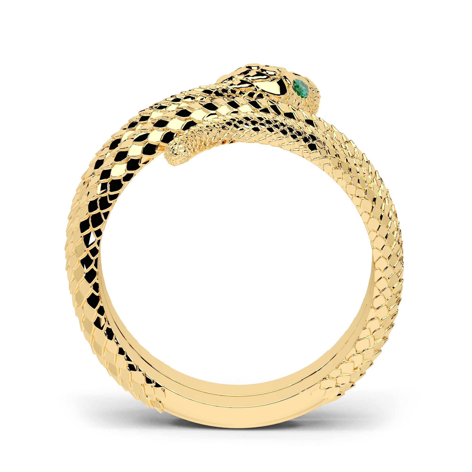 Ring Schlange