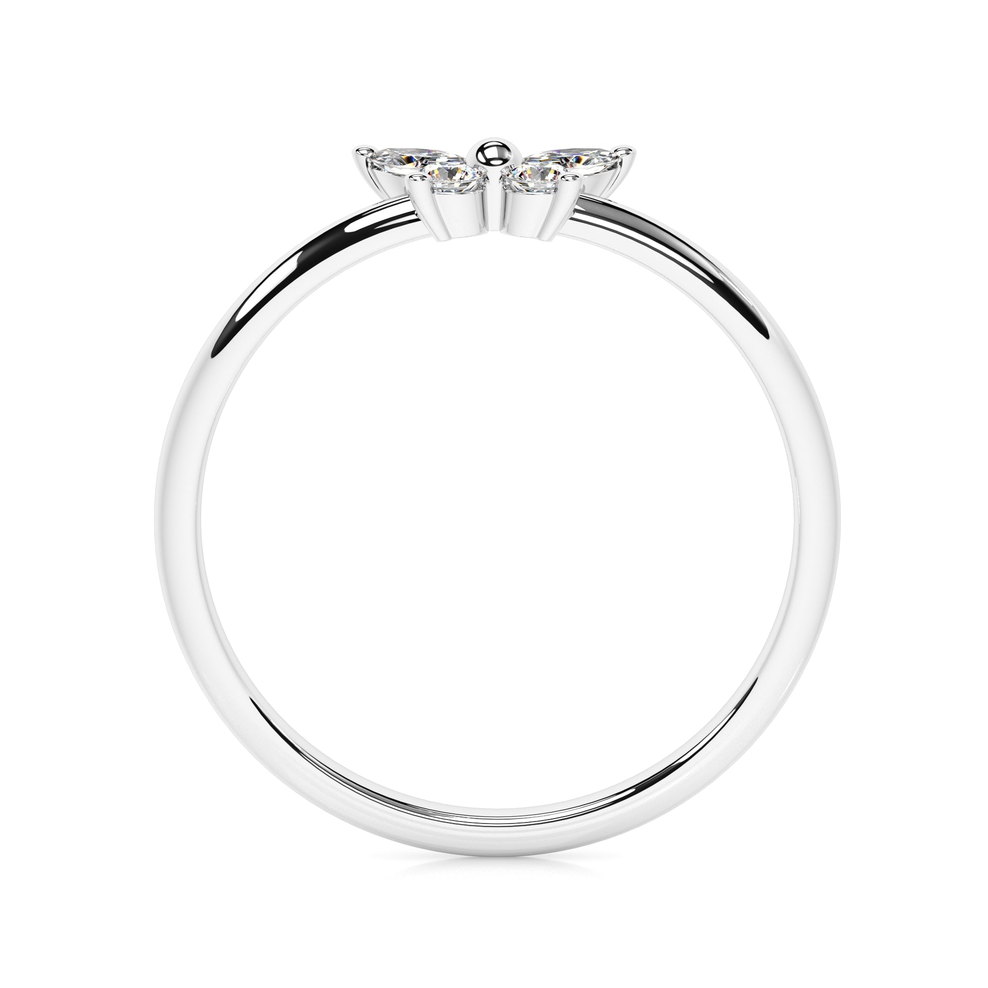 Ring Schmetterling